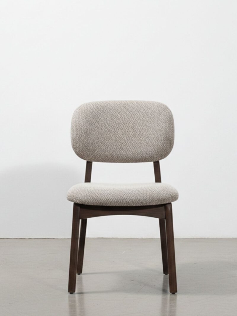 Urban Modern Dining Chair