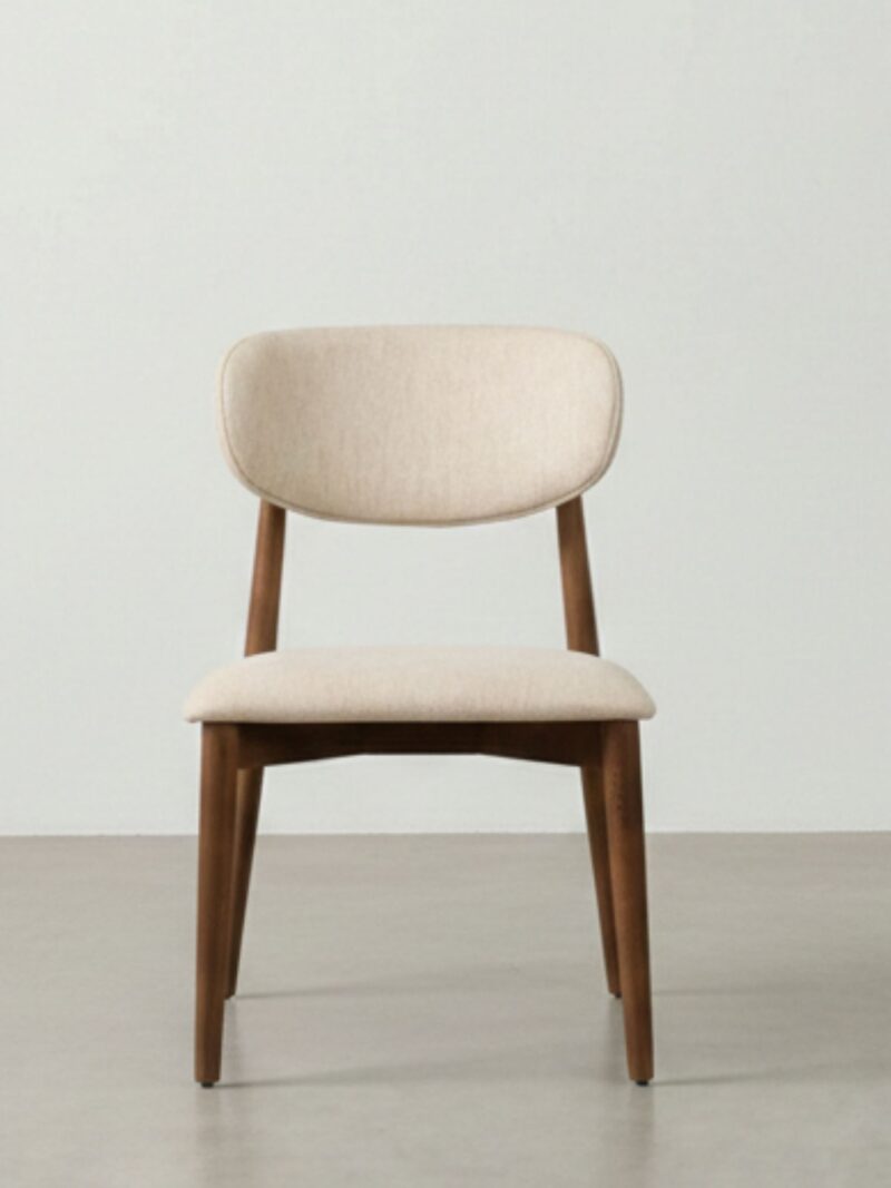 Salda Modern Dining Chair