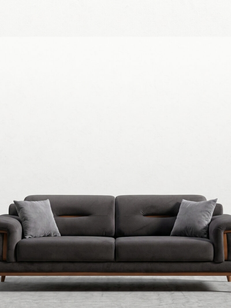 Washington Modern Sofa